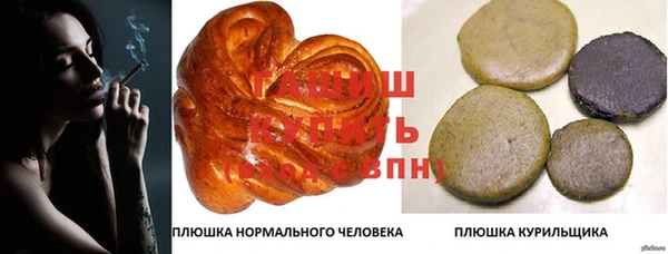 ECSTASY Богородицк