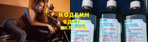 ECSTASY Богородицк