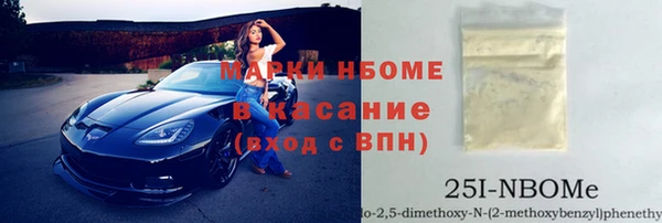 ECSTASY Богородицк