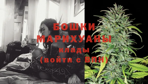 ECSTASY Богородицк
