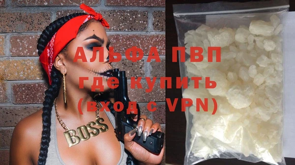ECSTASY Богородицк