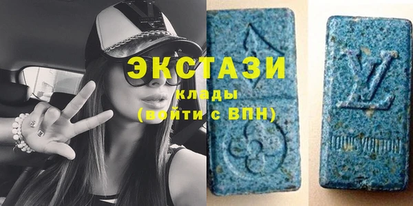 ECSTASY Богородицк