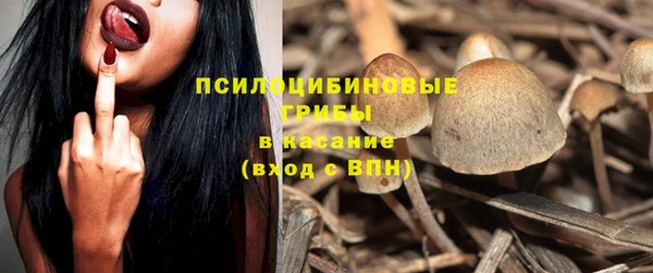 гидропоника Богородск