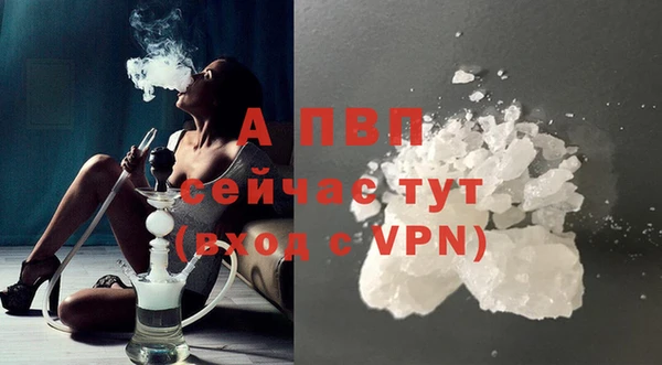 ECSTASY Богородицк